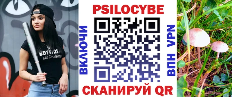 Галлюциногенные грибы прущие грибы  KRAKEN ТОР  дарк нет официальный сайт  Почеп 